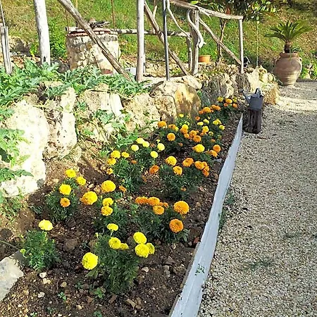 Casa Casotto