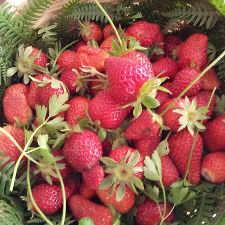 Frühstückspension Casa Casotto 4*