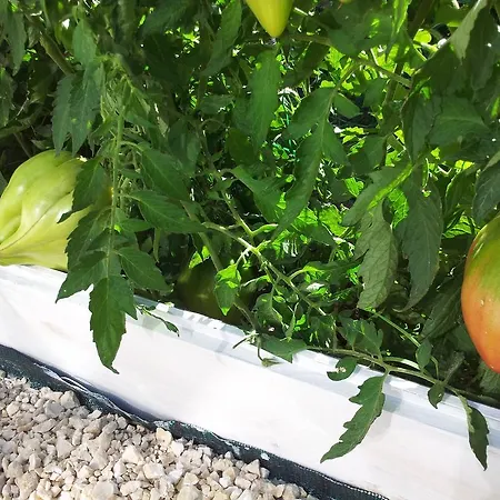 Casa Casotto Amantea