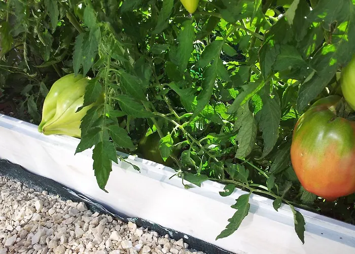 Casa Casotto Amantea